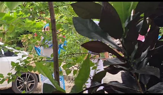 Discover the Unique Wonders of Flora Zanzibar