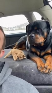 he calmed down quick 😭 | The Science Guy