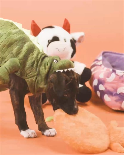 Halloween is better with puppies and kittens! 🎃 🐾 Which costume is your fave? #PetSmart #AnythingForPets | BuzzFeed