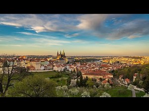 Study business in Prague! MIAS CTU Online Open Day