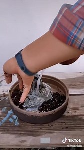 986K views · 10K reactions |  | Jardineria Online | Facebook