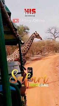 Safari in Senegal 2025 - Bandia Wildlife Reserve