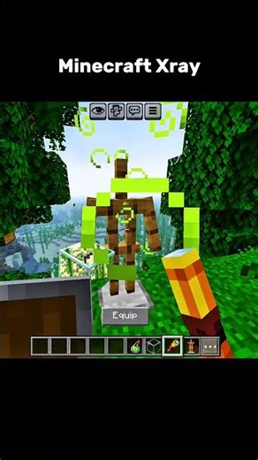 Minecraft X-Ray Without Mods 😱🤯 | #minecraft #shorts