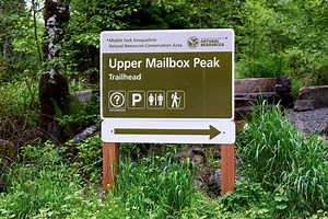 Seattle Public Transit: How to Get Around Without a Car