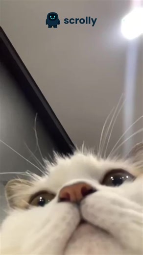 Don’t let endless scrolling steal your life 🙌🏽🍃 | scrolling