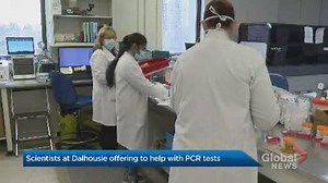 Dalhousie University offers to help clear COVID-19 testing backlog