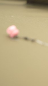 9.1K views · 105 reactions | NOW LIVE THE FIRST EVER AVID CARP BLOG! Always wanted to see behind the scenes at Avid? Now is your chance! Join Camera man Steven Coe and Media Manager Adam Johnston while they are out filming some brand new products at Linear Fisheries Tar Farm. With carp caught to over 40lb and loads of laughs along the way we are sure you will love this New Blog! CHECK IT OUT VIA THE LINK IN THE COMMENTS | Avid Carp | Facebook