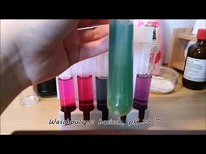 Wie man aus Rotkohl einen pH-Indikator (Säure/Base-Indikator) macht!
