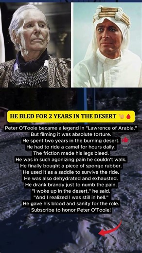 The torture of filming Lawrence of Arabia... 🐪🩸 #Shorts #respect #hero #kindness #rip #movie