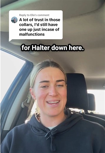 Upgrade Your Herd Management with Virtual Fencing Technology