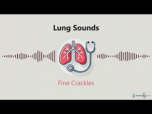 Lung Sounds: Fine Crackles