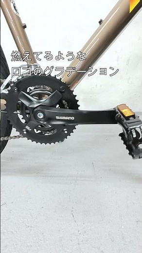 FUJI フジ RAIZ ライズ！定番のクロスバイクがお得！センタースタンド装着できます！