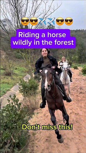 Riding a horse wildly in the forest... #horseriding