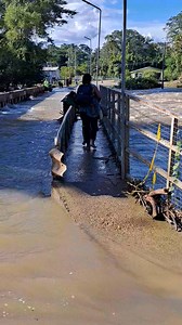 Late on Tuesday evening area residents were able to cross on the pedestrian walkway of the Bullet Tree bridge as the main driveway of the bridge was still under about a foot of water. The only barrier was a sizeable hole on the pedestrian crossing that pedestrians were careful to avoid.. | Breaking Belize News