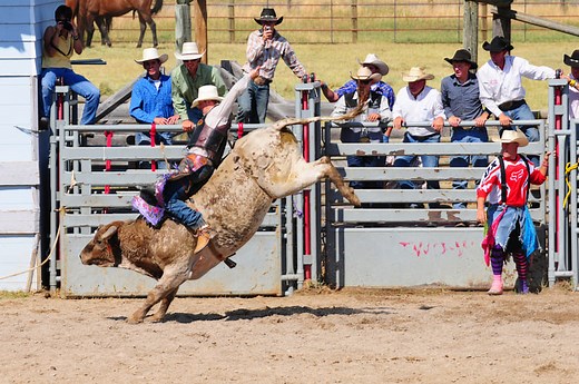 The 10 Best Rodeos in Montana - Discovering Montana