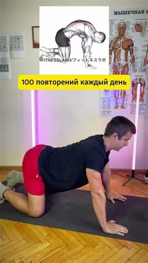 🔥 TOP 3 exercises for the neck, shoulders, and back ✅ Gymnastics for the spine from Andrey Lopez ...