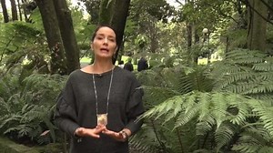 Autoridades locales se suman a la iniciativa de Fecode de impulsar la reforma constitucional al SGP | fecode