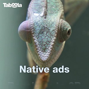 222K views · 71 reactions | Taboola native ads can get you to the right users, generating more traffic, engagement and conversions | Taboola | Facebook