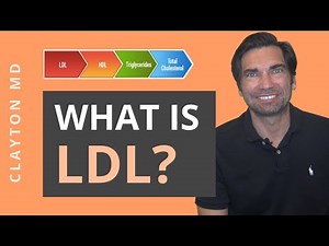 What is LDL? Your Cholesterol Test Results Explained