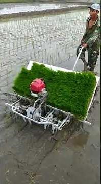 Mesin Tanam Padi Tepat Guna