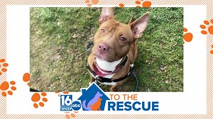 Butter | 16 To The Rescue