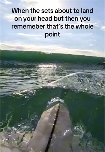 Surfinginoz on TikTok