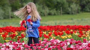 28K views · 458 reactions | This farm plants millions of tulip bulbs in New Jersey every fall! Who’s ready to see a gorgeous explosion of color this spring? | NJ.com | Facebook