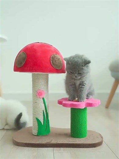 eco friendly cat scratch pad l shape durable corrugated cat scratcher for large cats