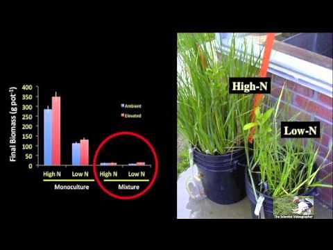 Example of a Video Abstract