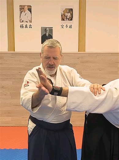 Shomen Uchi Nikkio La evolución del control básico. La técnica se inicia con la misma determinación que un Ikkyo, mediante un irimi decidido que intercepta el Shomenuchi y desestabiliza el eje de Uke. Sin embargo, antes de completar el descenso, Tori realiza una absorción de la muñeca para efectuar un cambio de mano estratégico hacia el control de Nikyo. Este ajuste permite aplicar una presión sobre la articulación, neutralizando cualquier resistencia. Mediante un desplazamiento final hacia el c