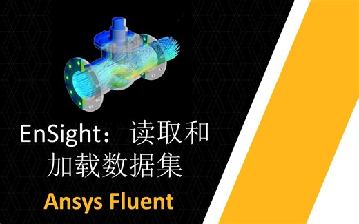 Ansys EnSight：读取和加载数据集