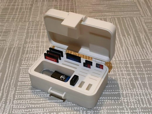 SD & Microsd Card Storage Case | 3D Printed PETG Organizer - Etsy