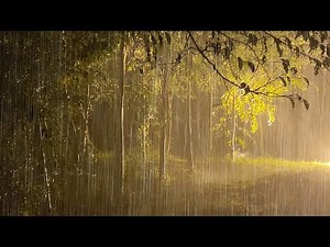 Falling into Sleep Quickly with Amazing Heavy Rain & Real Thunder in the Jungle at Night - RainForet