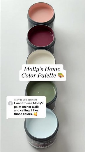 Molly’s Home Color Palette from #BenjaminMoore 🩷