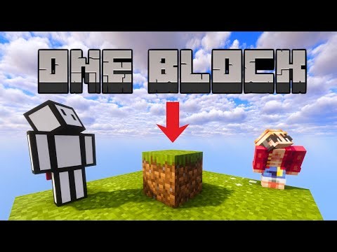 Minecraft ONE BLOCK 😳 Can This Even Work?