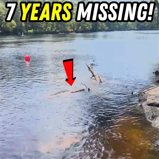 It's been sitting there for 7 years! 😳 | Adam Brown Adventures