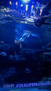 335K views · 4.3K reactions | Practicing some mermaid tricks with my Wands and Wishes Mermaids sea sister 隆‍♀️ #fantastycreature #professionalmermaid #mermaidtail #mermaidcore #mermaid #barbiemermaid #aquariumlife #aquarium tails Merbella Studios Inc. | Mermaid Sirenity | Facebook