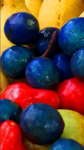 Fresh mango pudding & fruit salad | village style #villagecooking #recipe