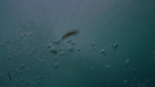 Come on this unique and exclusive Surfboard Swap, Surf Fitness, and Surf Awareness Experience in the Banyaks aboard The Seriti with former pro surfers Dylan and Summa Longbottom plus Dean Jamieson from Lean Performance Gym. There's 4 x spots left, book here...... https://www.perfectwavetravel.com/surf-trips/indonesia/banyaks-with-dylan-summa-longbottom-and-dean-jamieson/ Searching for a variety of waves, understanding surf conditions, surfboards and surf travel, board experimentation, fun, and s