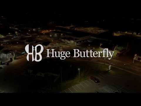 Huge Butterfly