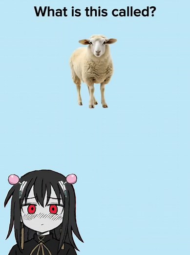 Learn English with Zuki: Fun Language Lessons