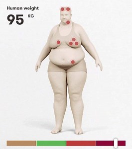 See your dog in human form with Black Hawk DogCheck™ and explore the red pulse points to see any potential health problems. | Black Hawk Pet Care