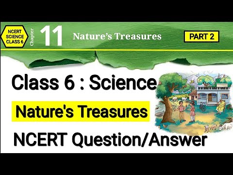 Class 6 Science Chapter 11 | Nature's Treasures | Question Answer | Curiosity