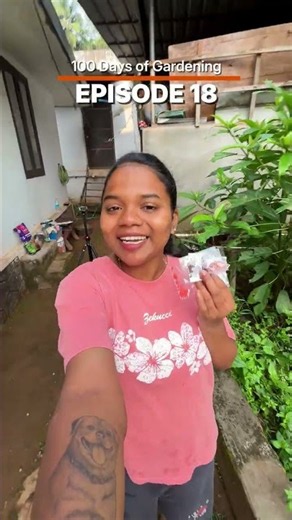 പുതിയ വിത്തുകൾ പാകാം! Day 18: 100 Days of Gardening #shorts