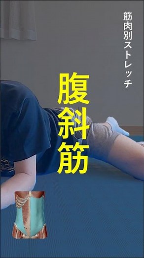 【腹】筋肉別ストレッチ！～腹斜筋～