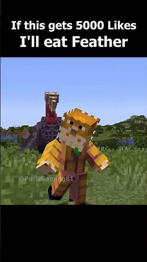 I will eat the feather