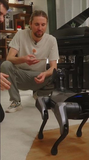 This dog robot is insane ! #amixem #shorts