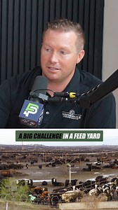 3.7K views · 31 reactions | Dane Kuper describes the Cattle Carousel...