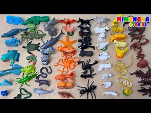 🌈 Learning ANIMALS and COLORS for kids! 🦁 Children's Videos 🌟 Mimonona Stories