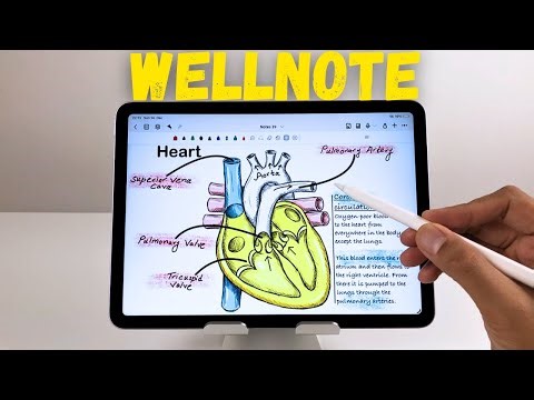 How to Take Notes on iPad Air M3 (2025) for Free | Wellnote App – 15 Powerful Features